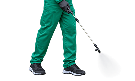 Man Spraying Yard